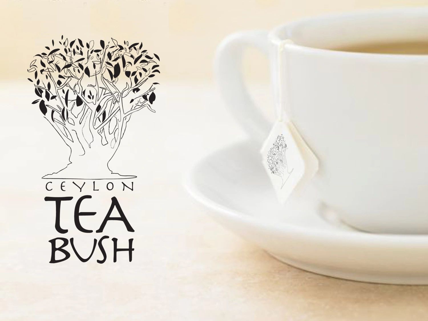 A cup of Ceylon Tea Bush tea with a pyramid tea pouch