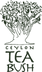 Ceylon Tea Bush